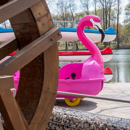 Rowerek wodny w kształcie różowego flaminga. W tle kolorowe kajaki. , Rowerek wodny w kształcie różowego flaminga. W tle kolorowe kajaki.