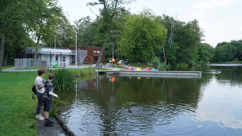 młynek