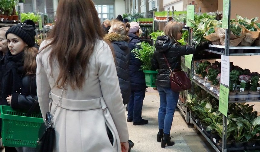 giełda kwiatów mosir łódź