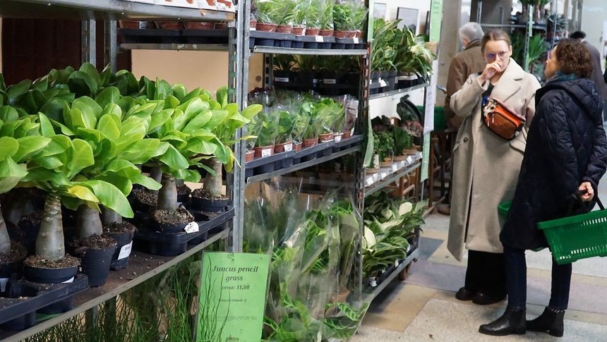 giełda kwiatów mosir łódź