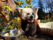 fot. Zoo w Łodzi